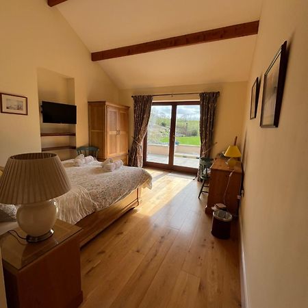 Neuadd Villa Llanwnen ภายนอก รูปภาพ