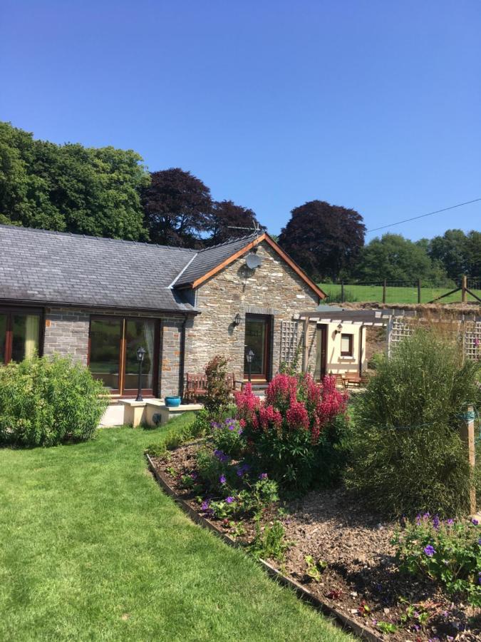 Neuadd Villa Llanwnen ภายนอก รูปภาพ