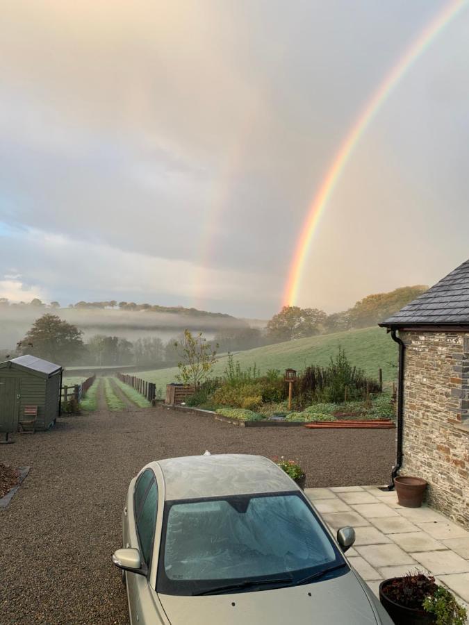 Neuadd Villa Llanwnen ภายนอก รูปภาพ