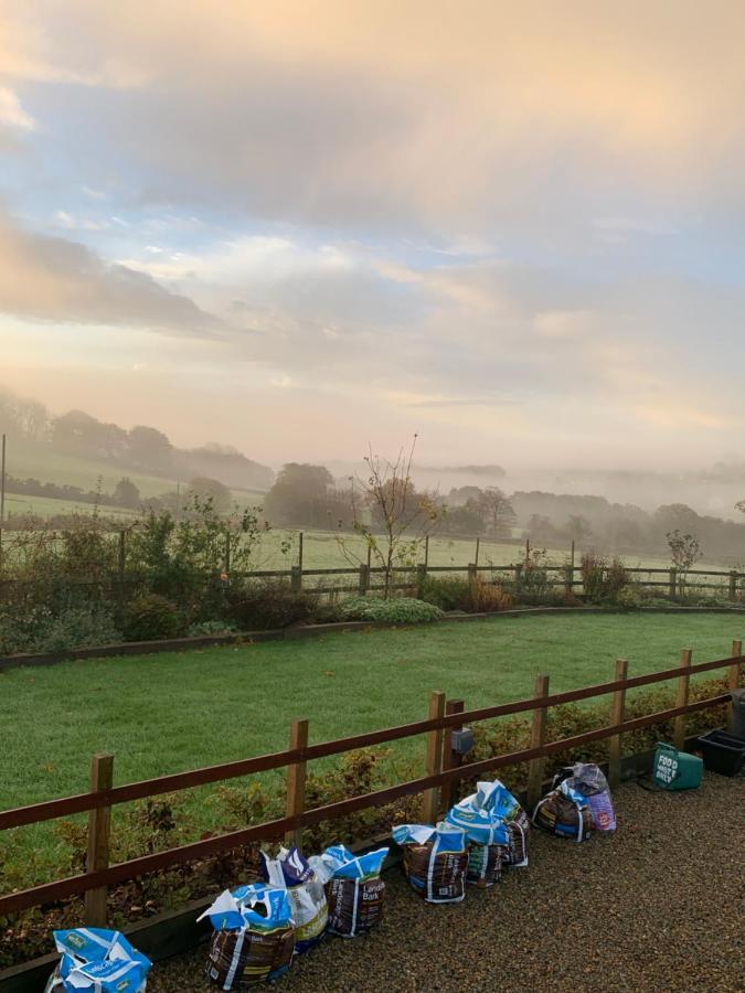 Neuadd Villa Llanwnen ภายนอก รูปภาพ
